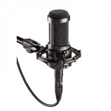 Audio Technica AT2035 Stüdyo Tipi Geniş Diyaframlı Mikrofon